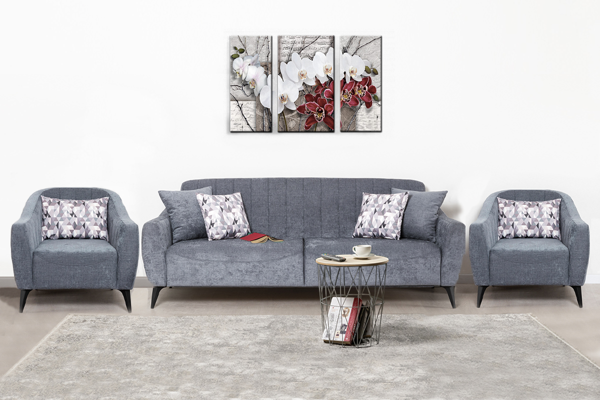 naomi-komplekt-dlia-gostinoi-00042656-grafitovyi-seryi-0iaknizka-divan-nik