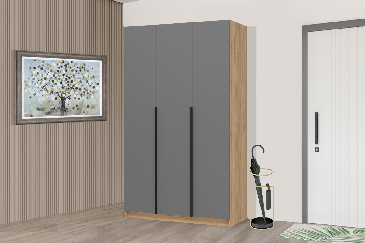 skaf-dlia-prixozei-lion-sk-02-3d-00057300-dub-kraft-zolotoigrafit-seryi-evromebel