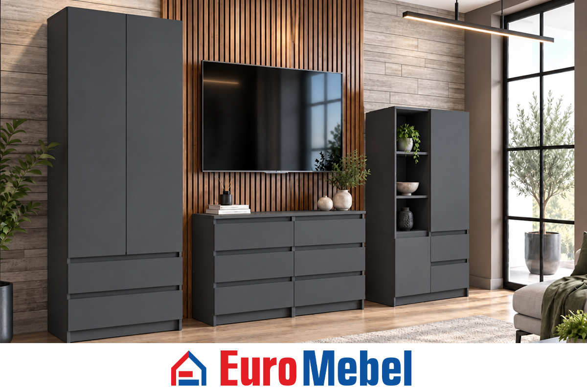 komplekt-dlia-gostinoi-cikago-strit-00081565-grafit-evromebel