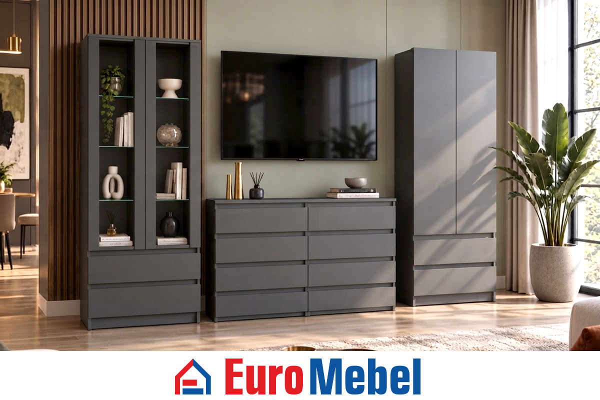 komplekt-dlia-gostinoi-cikago-strit-00081608-grafit-evromebel
